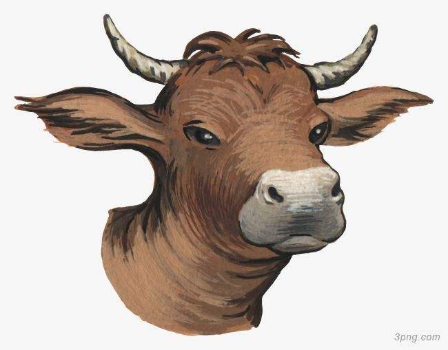 吉林市舒蘭市天德鄉(xiāng)反芻技術(shù)交流會圓滿成功！